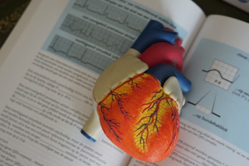 Family History of Heart Disease
