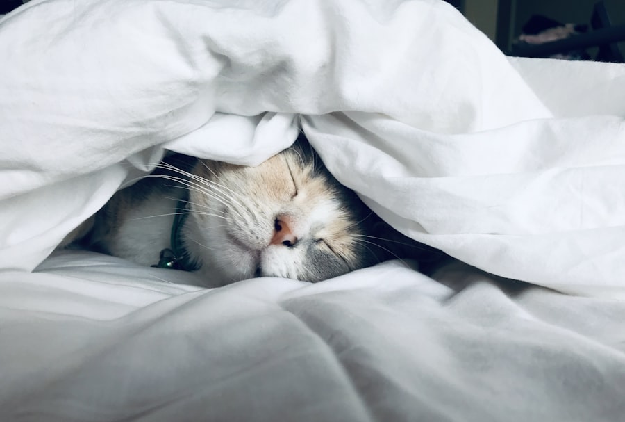 Restful sleep and sleep apnea connection to blood pressure
